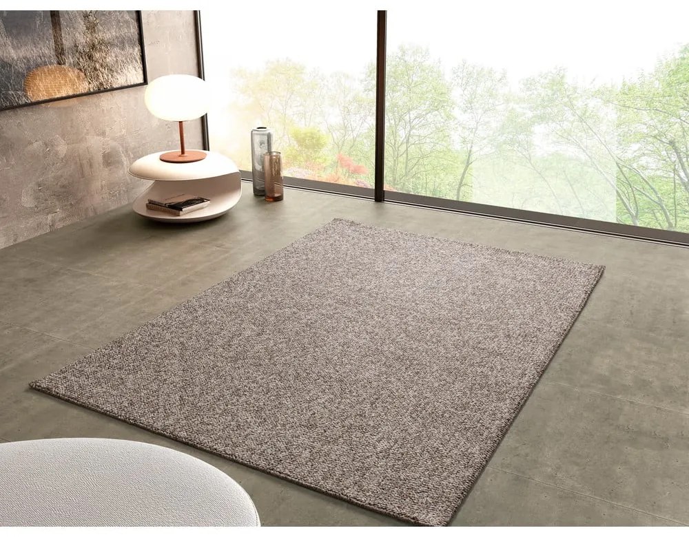 Sivo-béžový koberec 160x230 cm Petra Liso – Universal