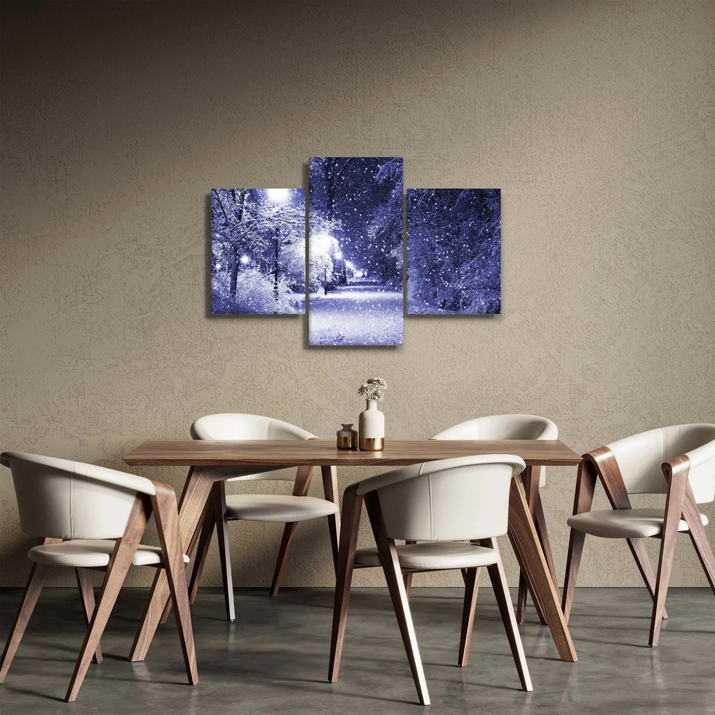 Obraz - Čarovná zimná noc (90x60 cm)