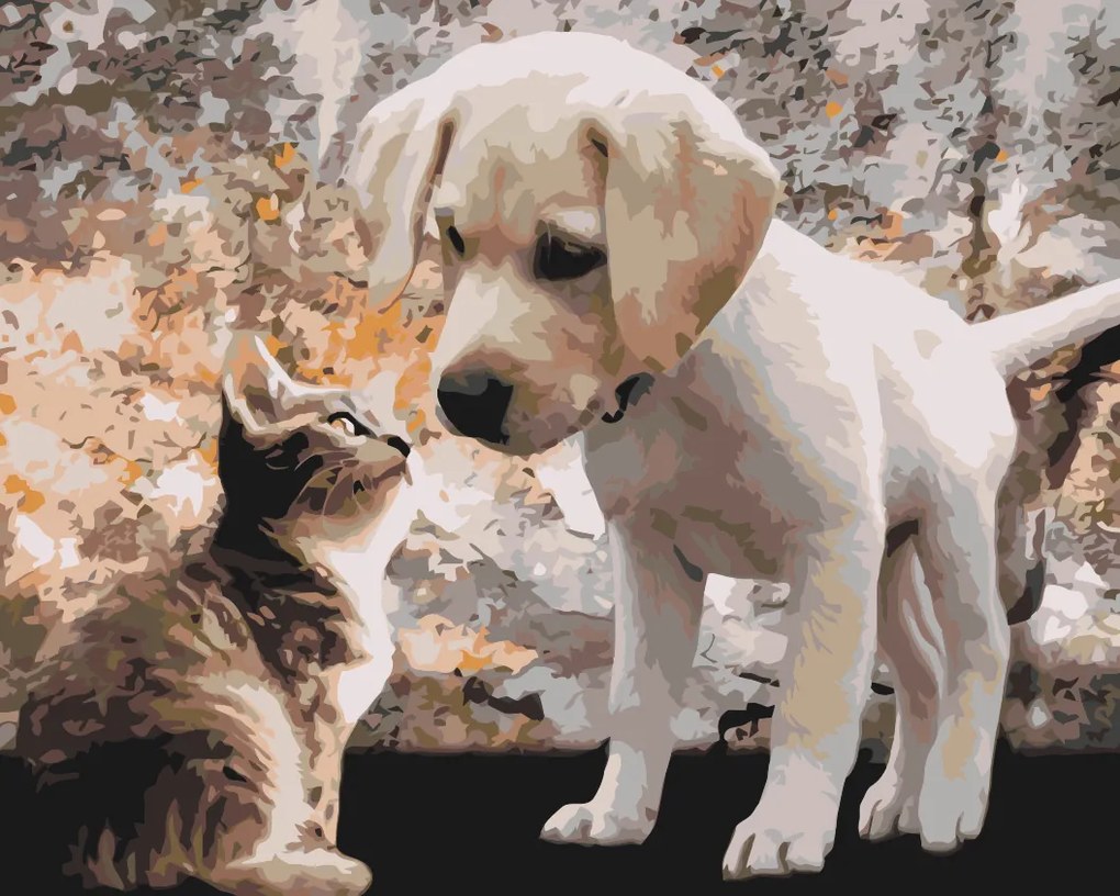Gario Maľovanie podľa čísel Šteňa a mačiatko Rozmery: 100 x 80 cm, Rámovanie: Iba zrolované plátno