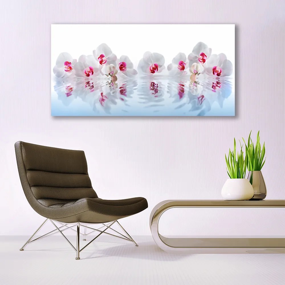 Obraz na akrylátovom skle Kvety rastlina príroda umenie 120x60 cm