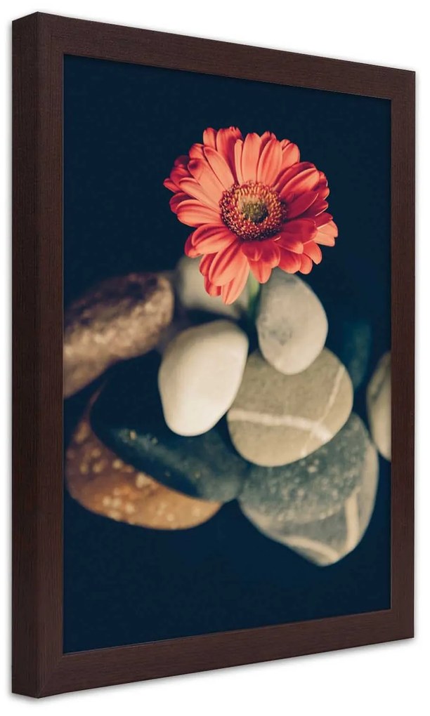 Gario Plagát Gerbera a kamene Farba rámu: Bez rámu, Rozmery: 30 x 45 cm