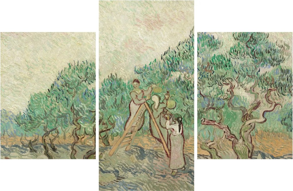 Obraz - Vincent van Gogh, The Olive Orchard, reprodukcia (90x60 cm)