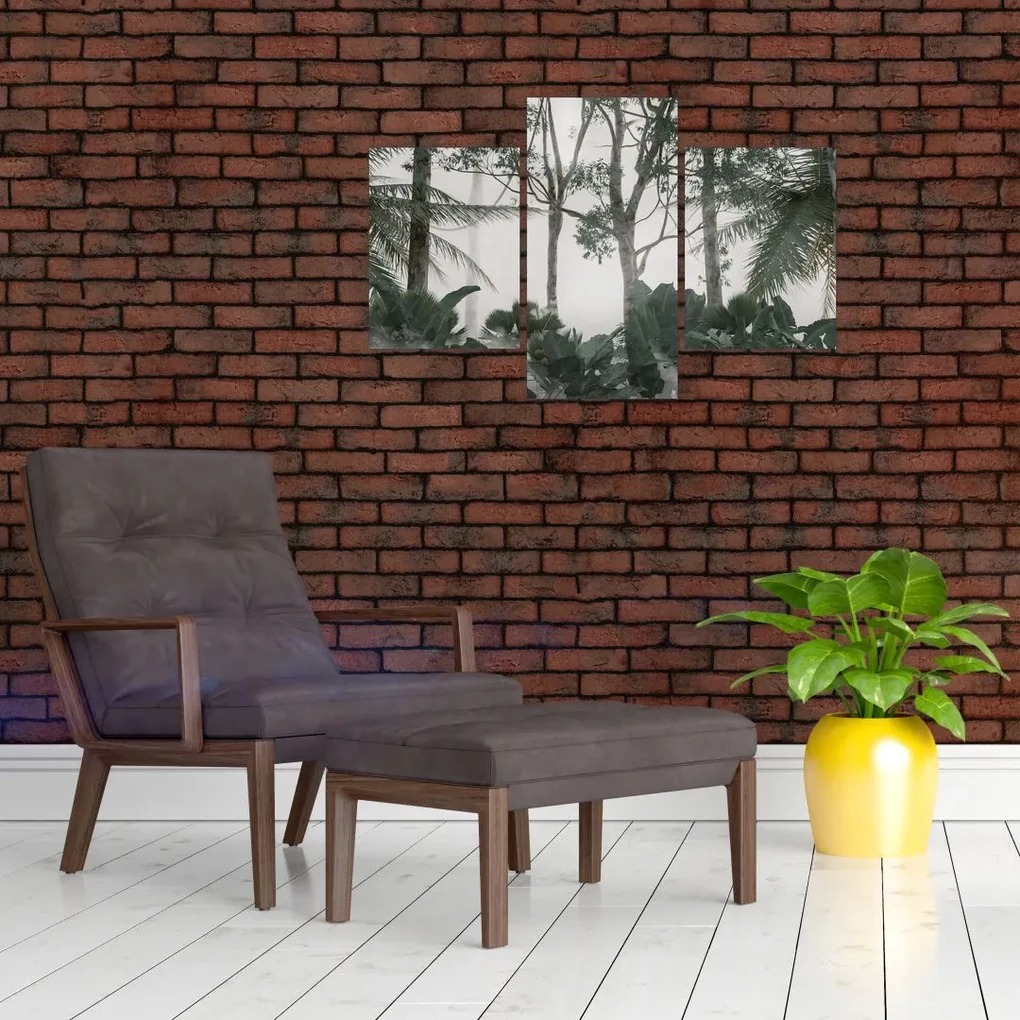 Obraz - Jungle v rannej hmle (90x60 cm)