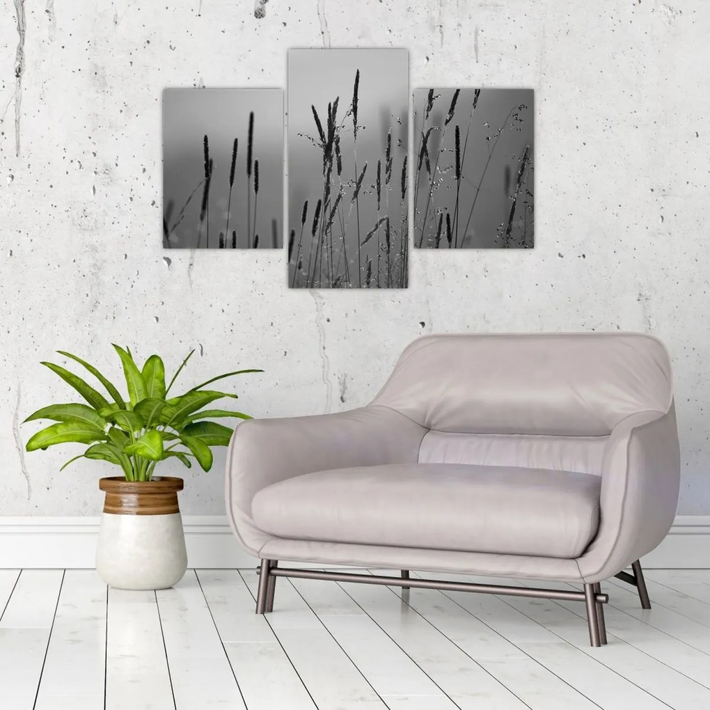 Obraz - Steblá trávy (90x60 cm)