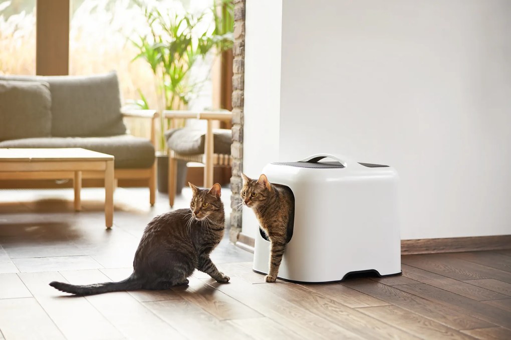 Rotho 2. akosť - Mačacia toaleta, krytý záchod pre mačky s lopatkou CAT XL - béžová