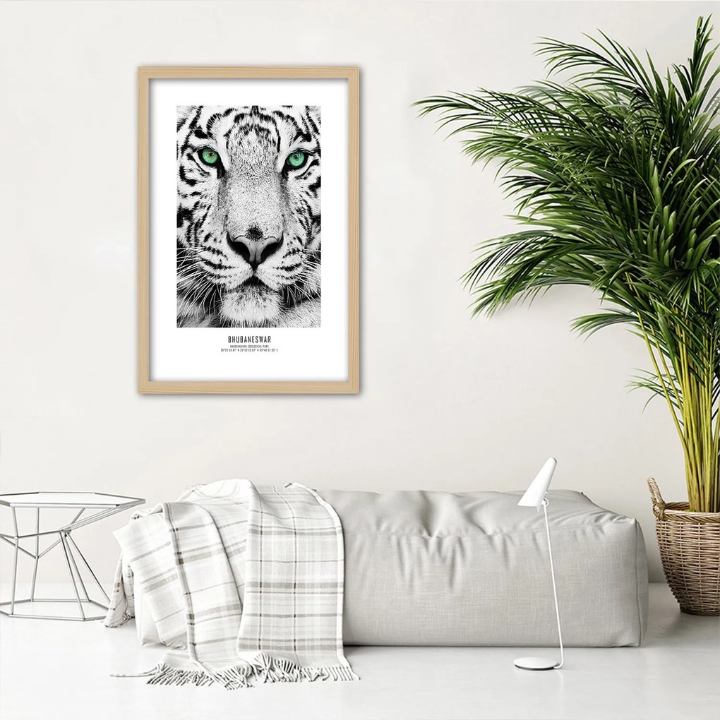 Gario Plagát Biely tiger Farba rámu: Bez rámu, Rozmery: 30 x 45 cm