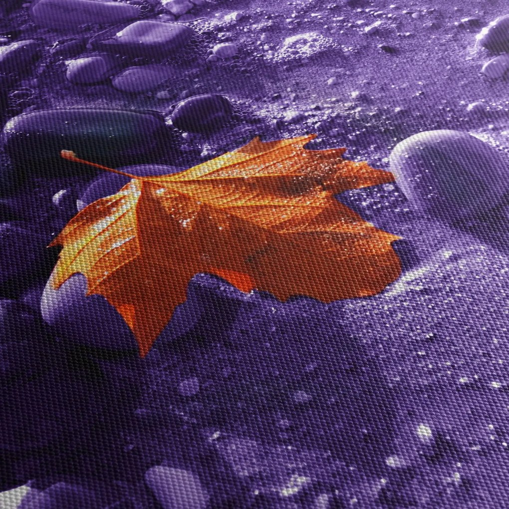Obraz - Morská pláž (90x60 cm)