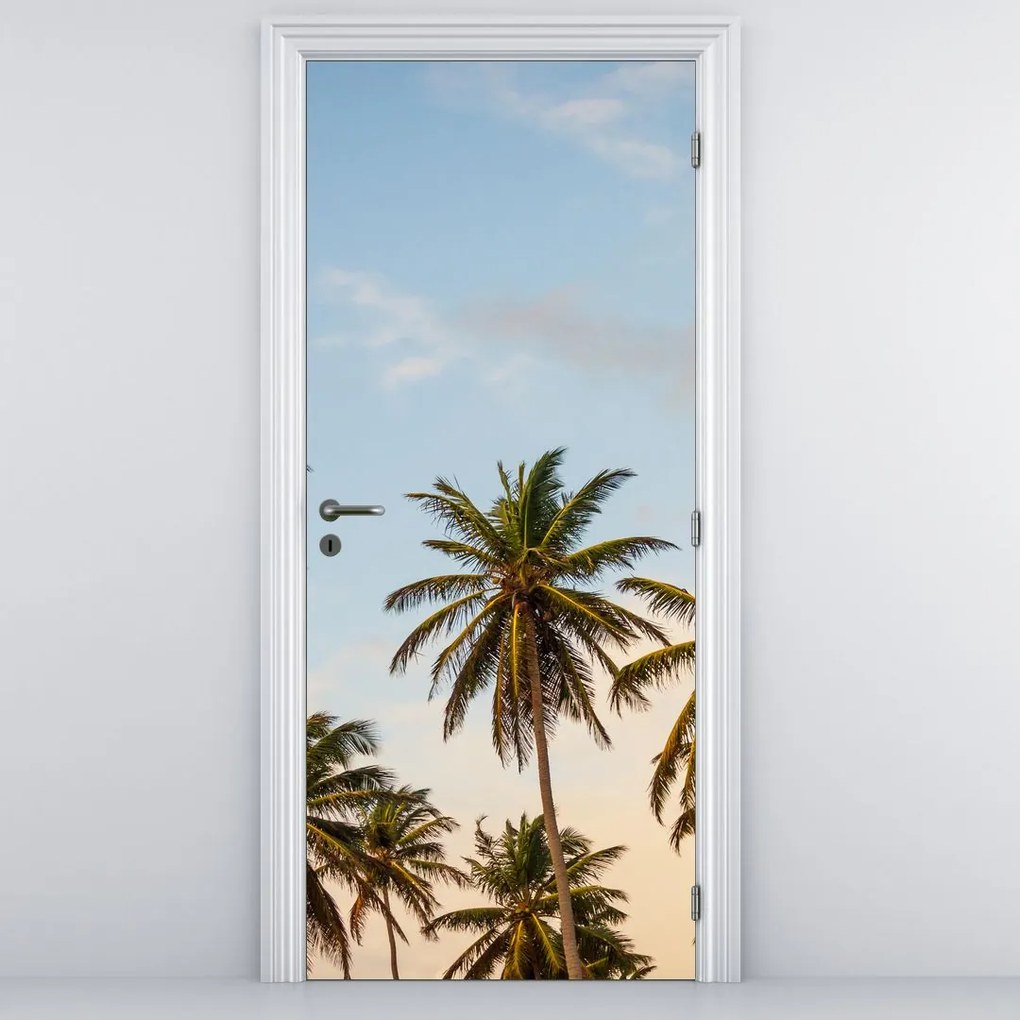 Fototapeta na dvere - Palmy (95x205cm)