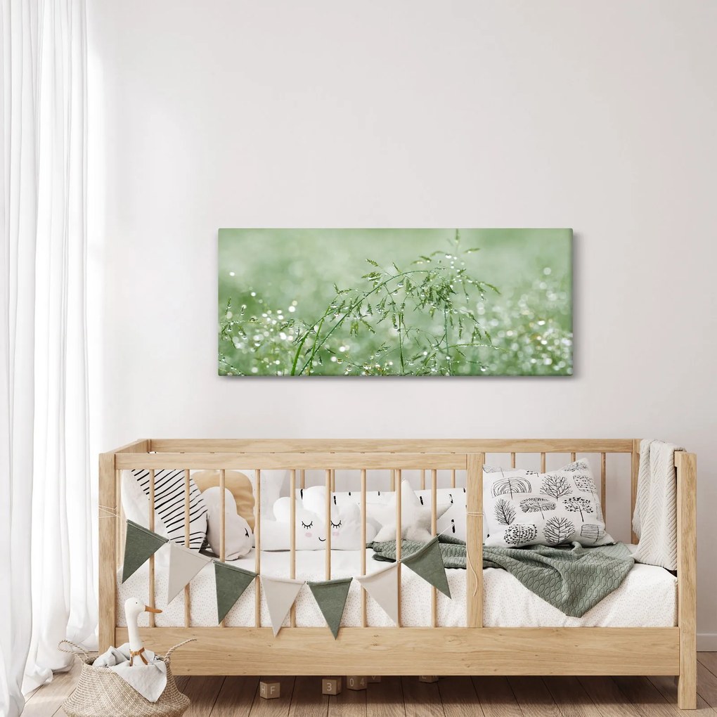 Obraz - Ranná rosa na steblach trávy (120x50 cm)