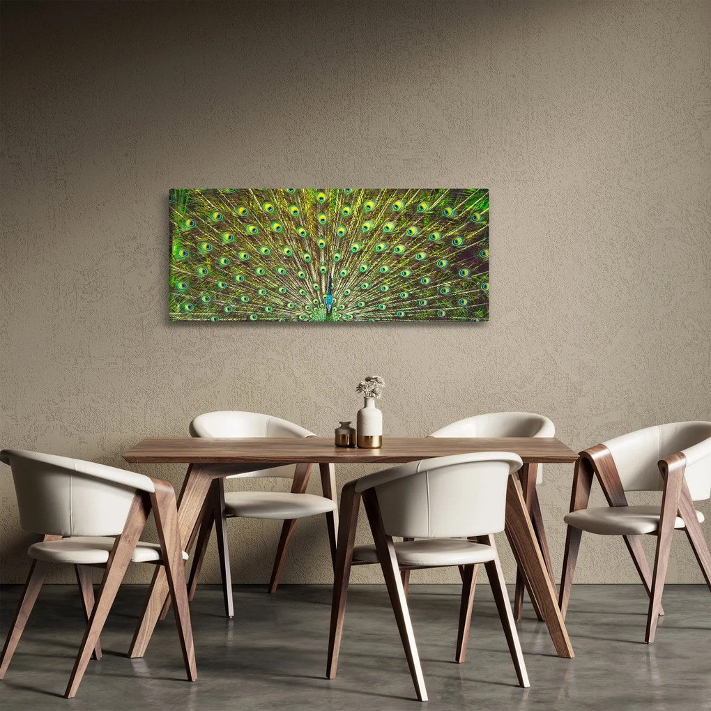 Obraz - Páv (120x50 cm)