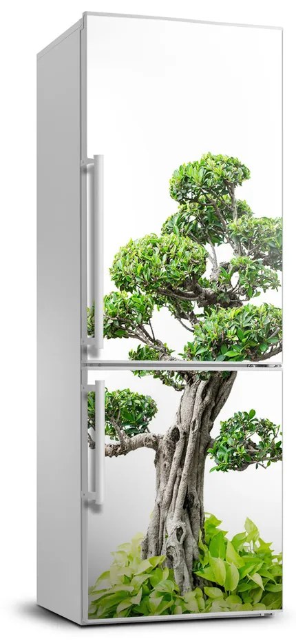 Nálepka fototapeta Bonsai FridgeStick-70x190-f-88907159