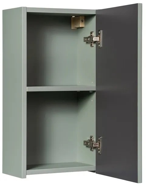 Horná kúpeľňová skrinka Line Reed Green D 83-30-1D zelená