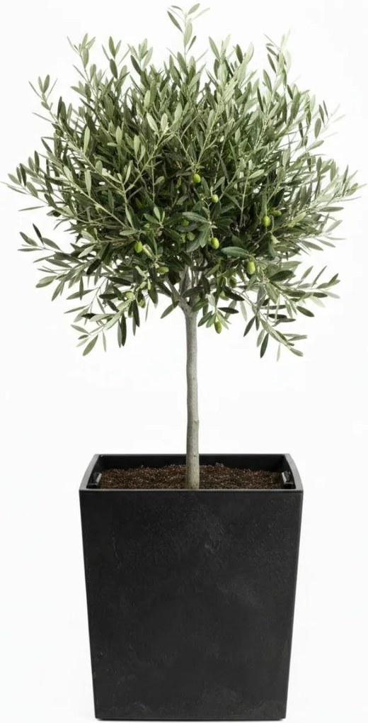 PLASTOVÝ KVETINÁČ FLORE 41X39,5X39,5 CM IMITÁCIA BETÓNU ČIERNA