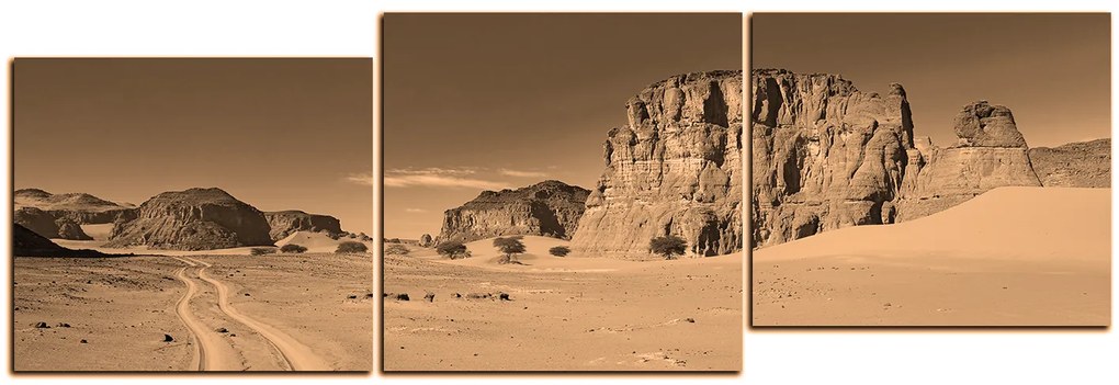 Obraz na plátne - Cesta v púšti - panoráma 5129FE (150x50 cm)