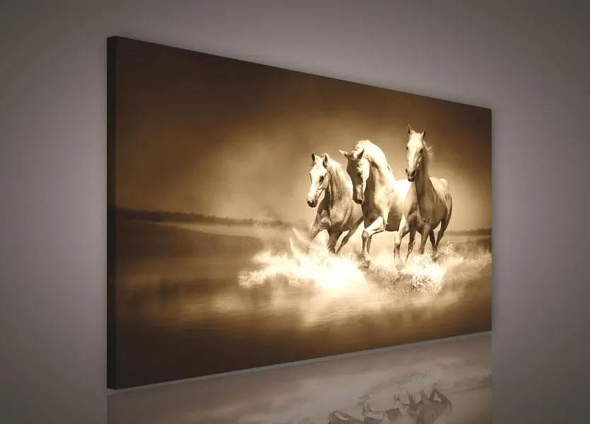 Obraz na stenu stádo koní 100 x 75 cm