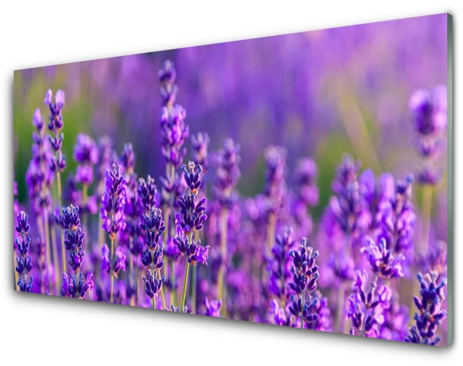 Skleneny obraz Pole fialová levanduľa 100x50 cm