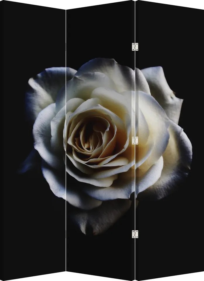 Paraván - Biela ruža (126x170 cm)