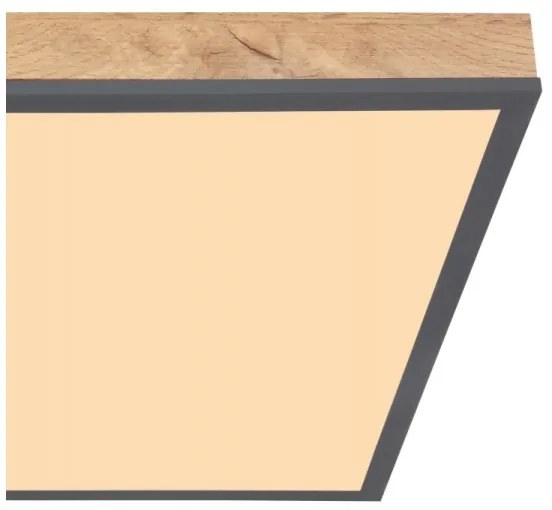 Globo 416080WD2 - LED Stropné svietidlo DORO LED/24W/230V