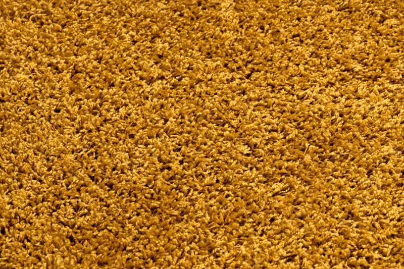 Behúň SOFFI shaggy 5cm zlatá - do kuchyne, predsiene, chodby, haly Veľkosť: 160x220cm