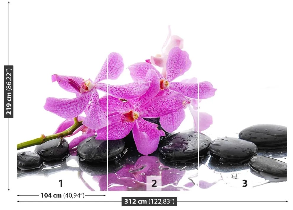 Fototapeta Vliesová Ružová orchidea 208x146 cm