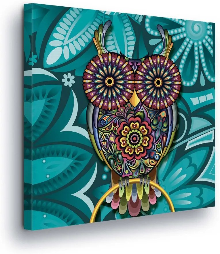 GLIX Obraz na plátne - Art Owl 80x80 cm