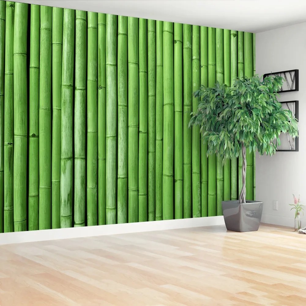 Fototapeta Vliesová Bambusová zelená 416x254 cm