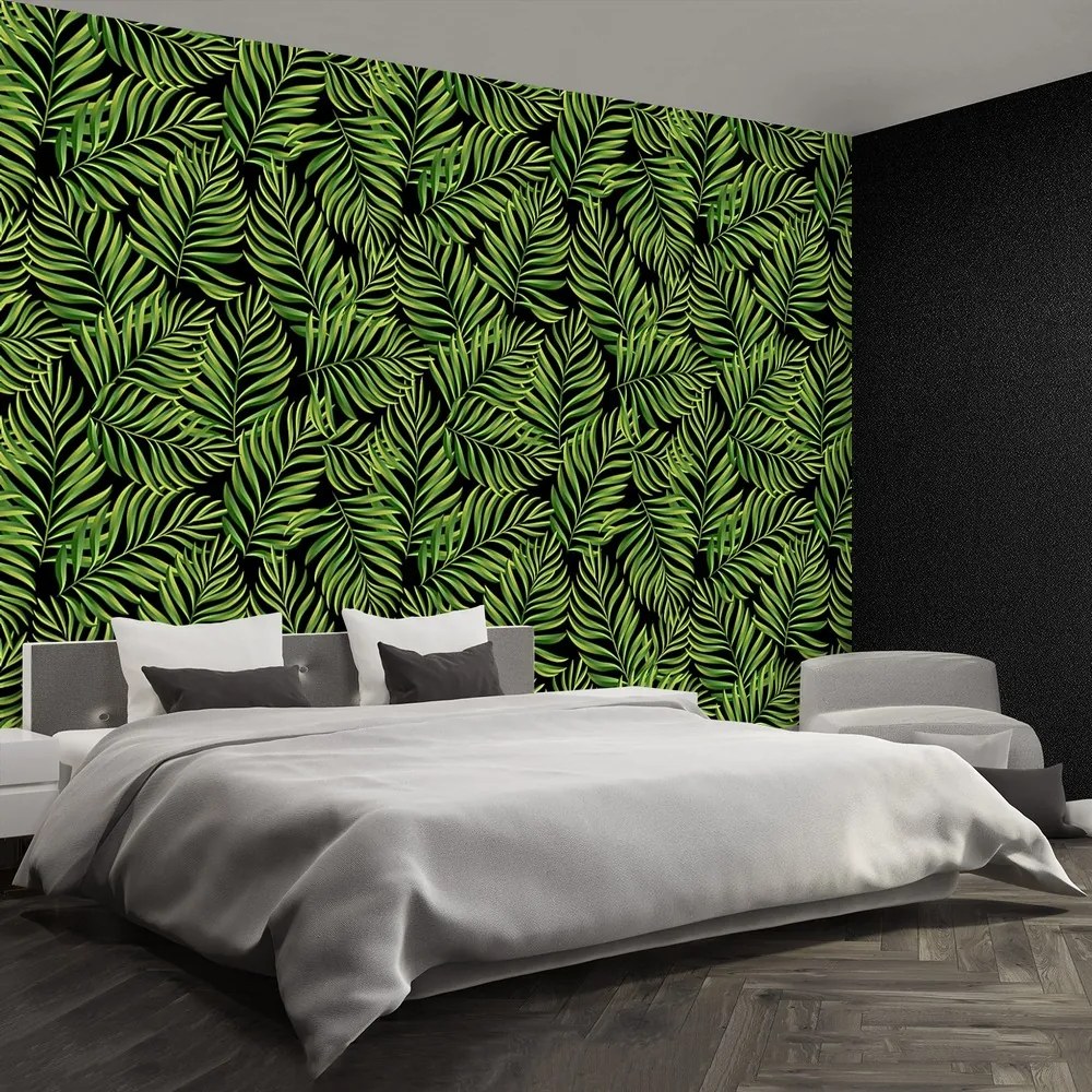 Fototapeta Vliesová Palmové listy 104x70 cm