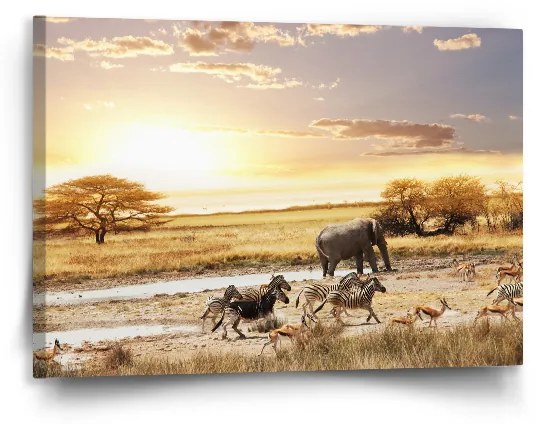 Sablio Obraz Safari - 90x60 cm