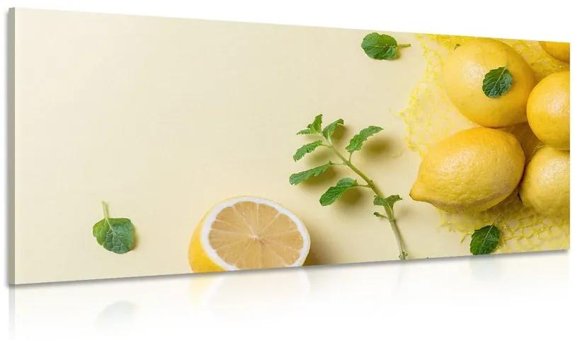 Obraz citróny s mätou Varianta: 120x60
