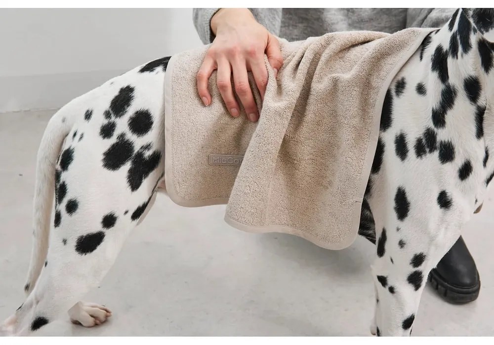 Uterák pre domáceho maznáčika Secco Midnight S/M – MiaCara