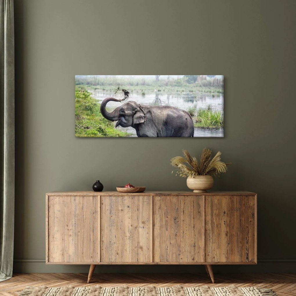 Obraz - Kúpajúci sa slon (120x50 cm)