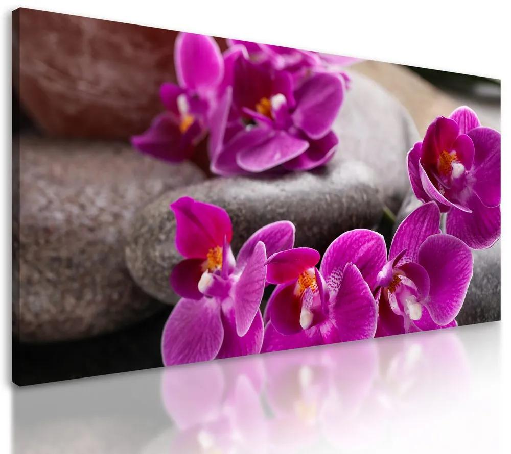 Obraz Feng Shui zátišie s fialovou orchideou