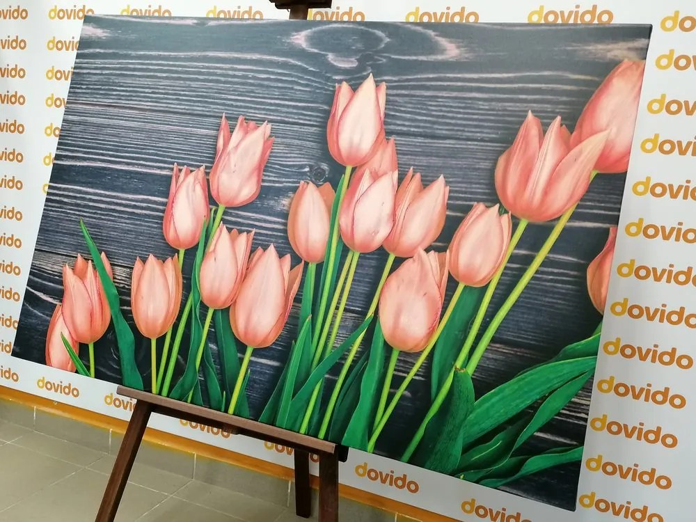 Obraz očarujúce oranžové tulipány na drevenom podklade