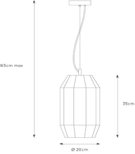 Lucide 25408/01/30 - Luster na lanku FERN 1xE27/60W/230V