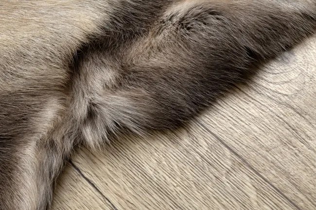 Koberec RENIFER POK012 sivý / béžový