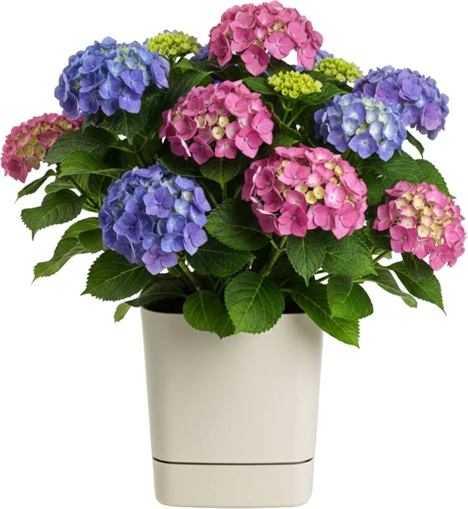 PLASTOVÝ KVETINÁČ CUBI 34X36,5 CM BÉŽOVÁ