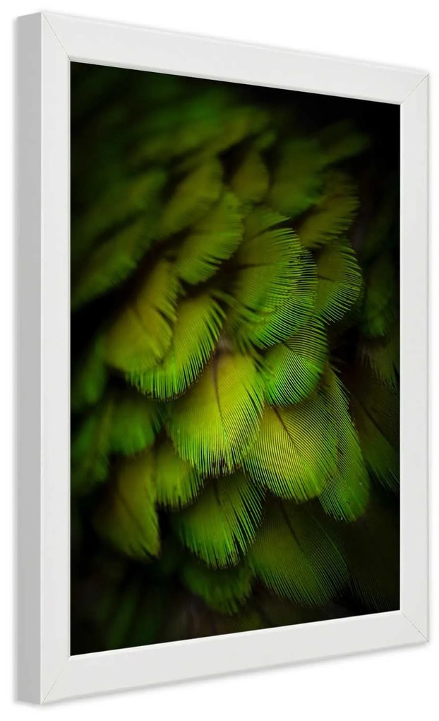 Gario Plagát Abstrakt zo zeleného peria Farba rámu: Čierna, Rozmery: 70 x 100 cm