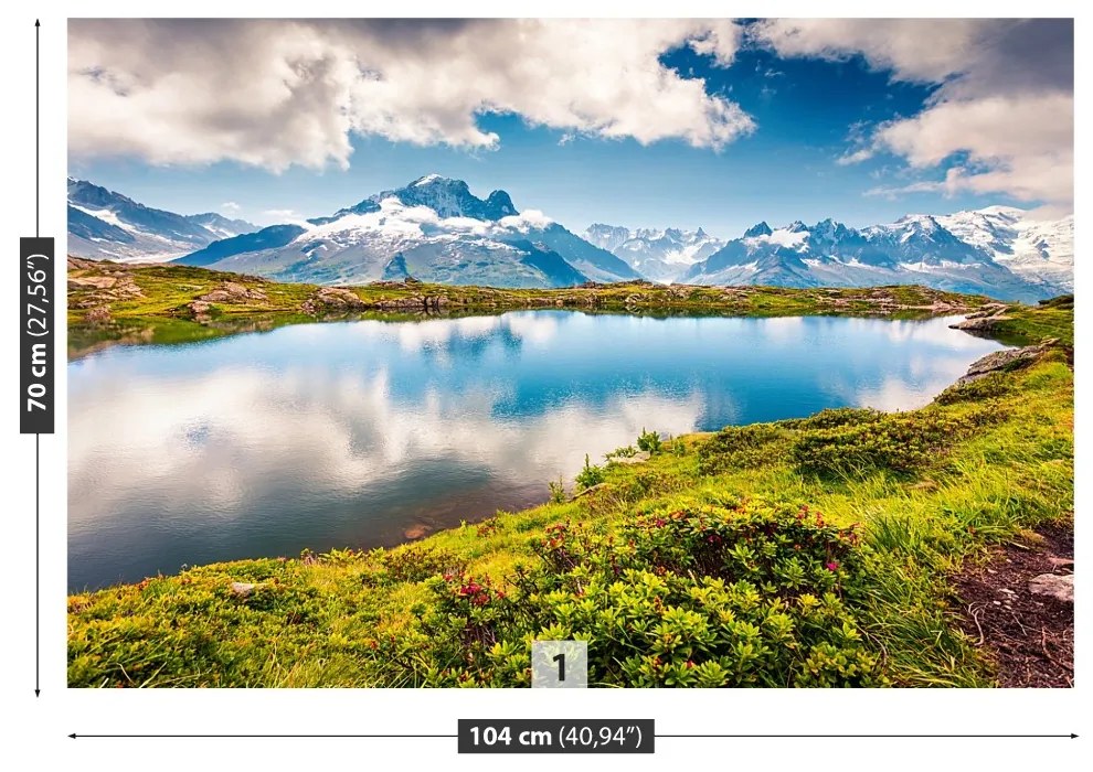 Fototapeta Vliesová Mont blanc 416x254 cm