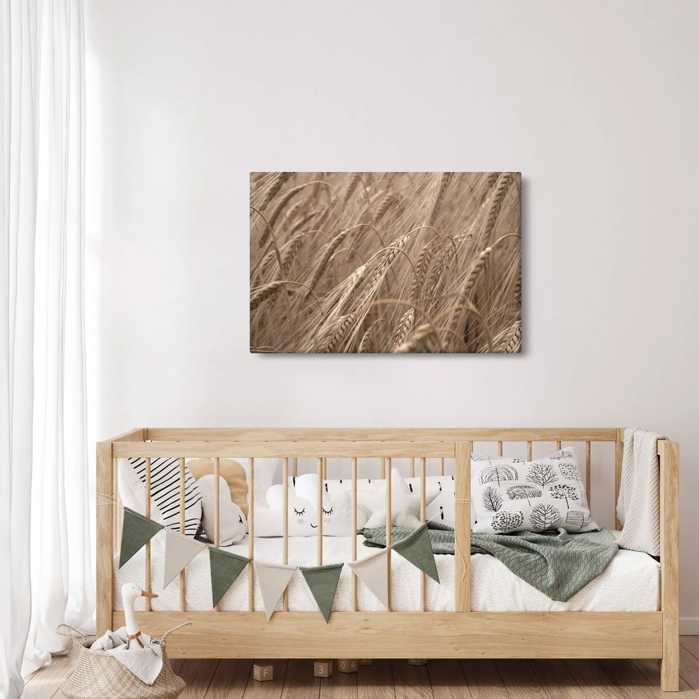 Obraz - Zlaté pole (90x60 cm)