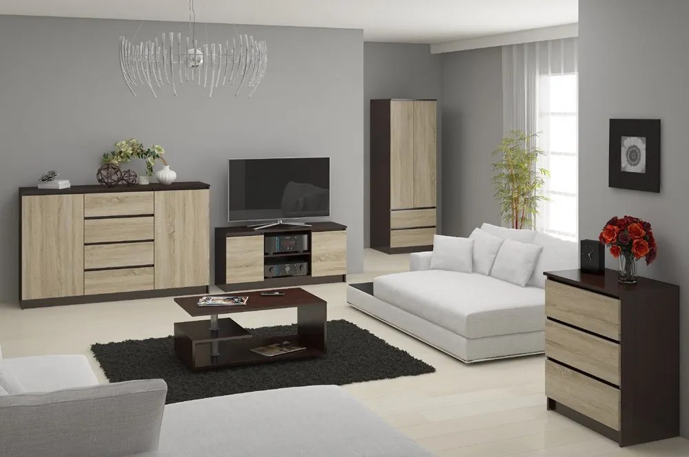 TV stolík Darian (wenge + dub sonoma). Akcia -11%. Vlastná spoľahlivá doprava až k Vám domov. 1069383