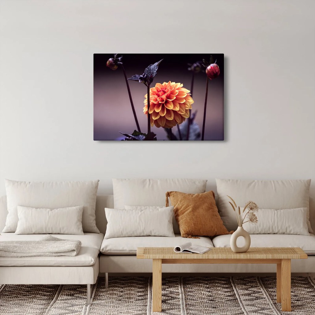 Obraz - Kvietok (90x60 cm)