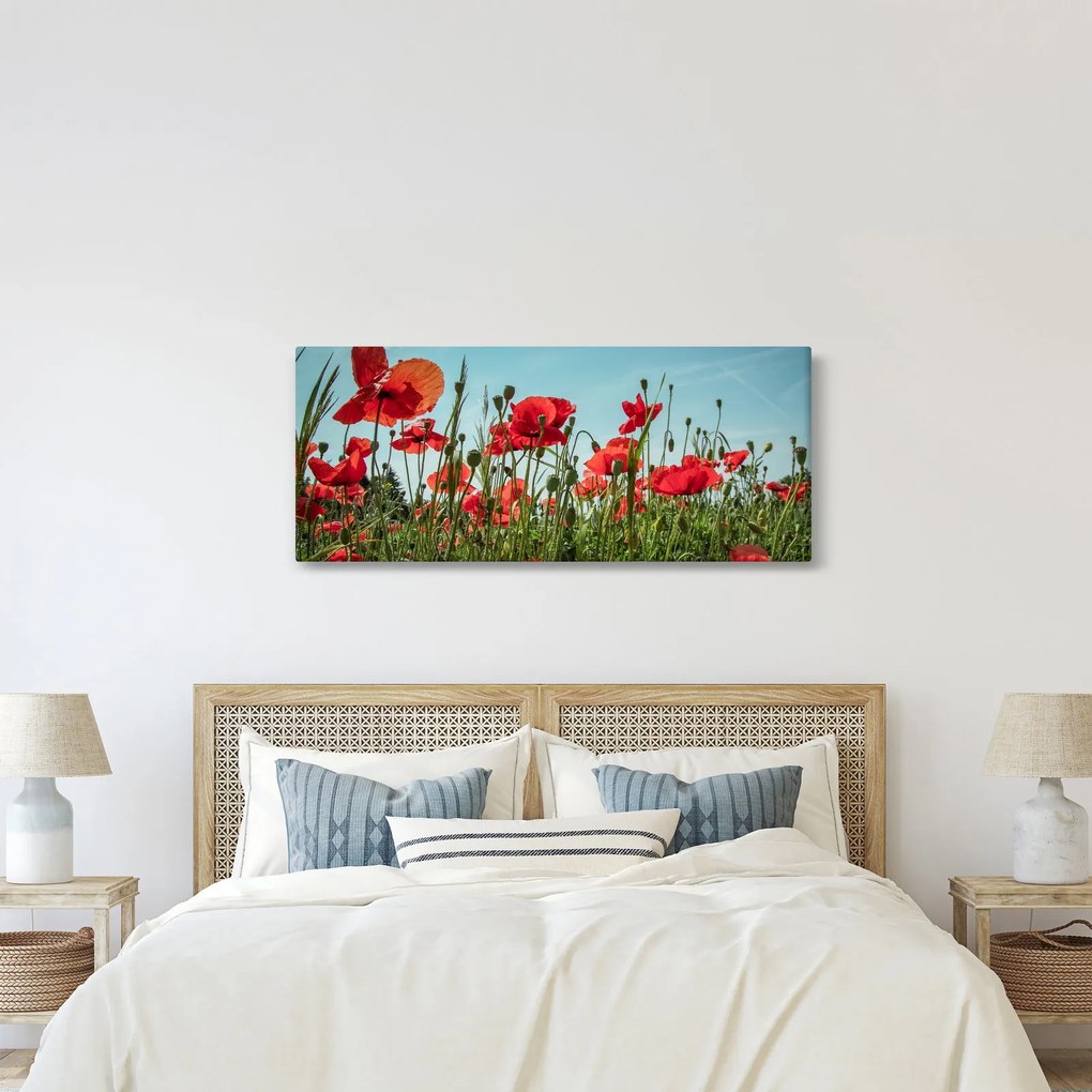 Obraz - Na poli vlčích makov (120x50 cm)