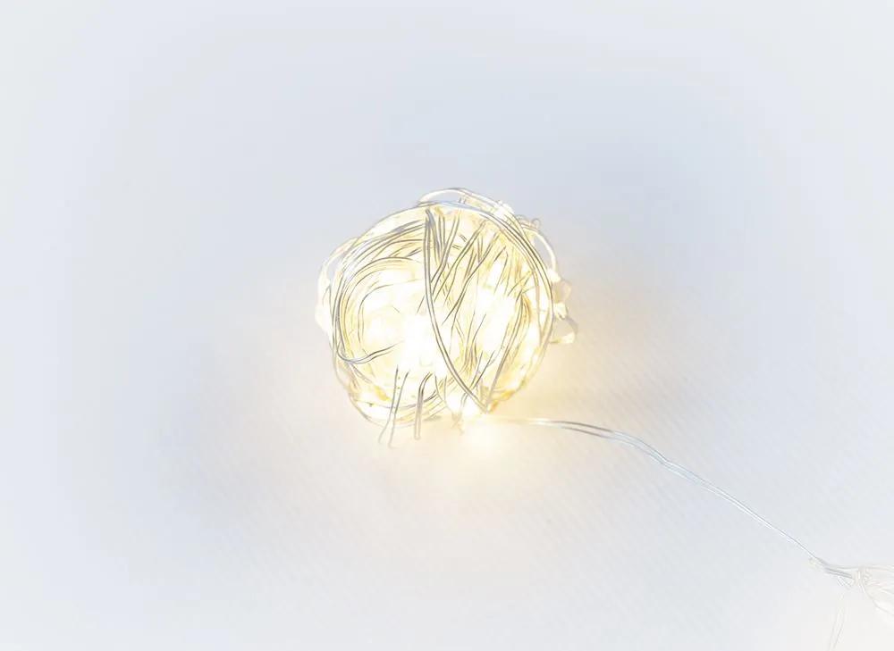 NEXOS LED osvetlenie strieborný drôt, 40 LED, teplá biela