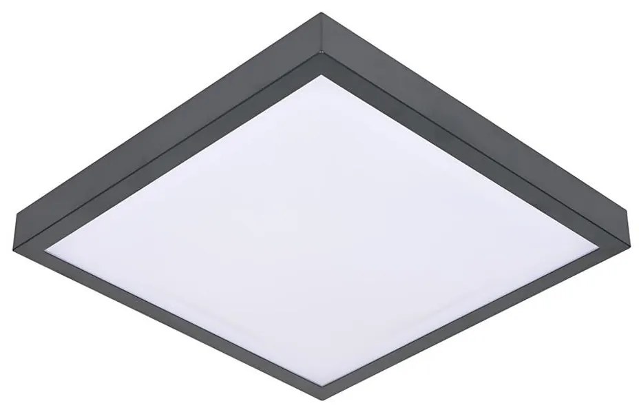 Stropné svietidlo VITAL 2xE27/60W/230V antracit