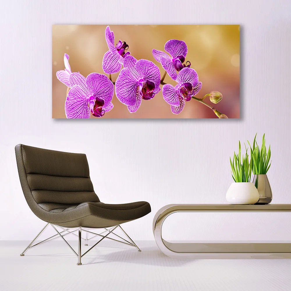 Obraz plexi Orchidea výhonky kvety príroda 120x60 cm