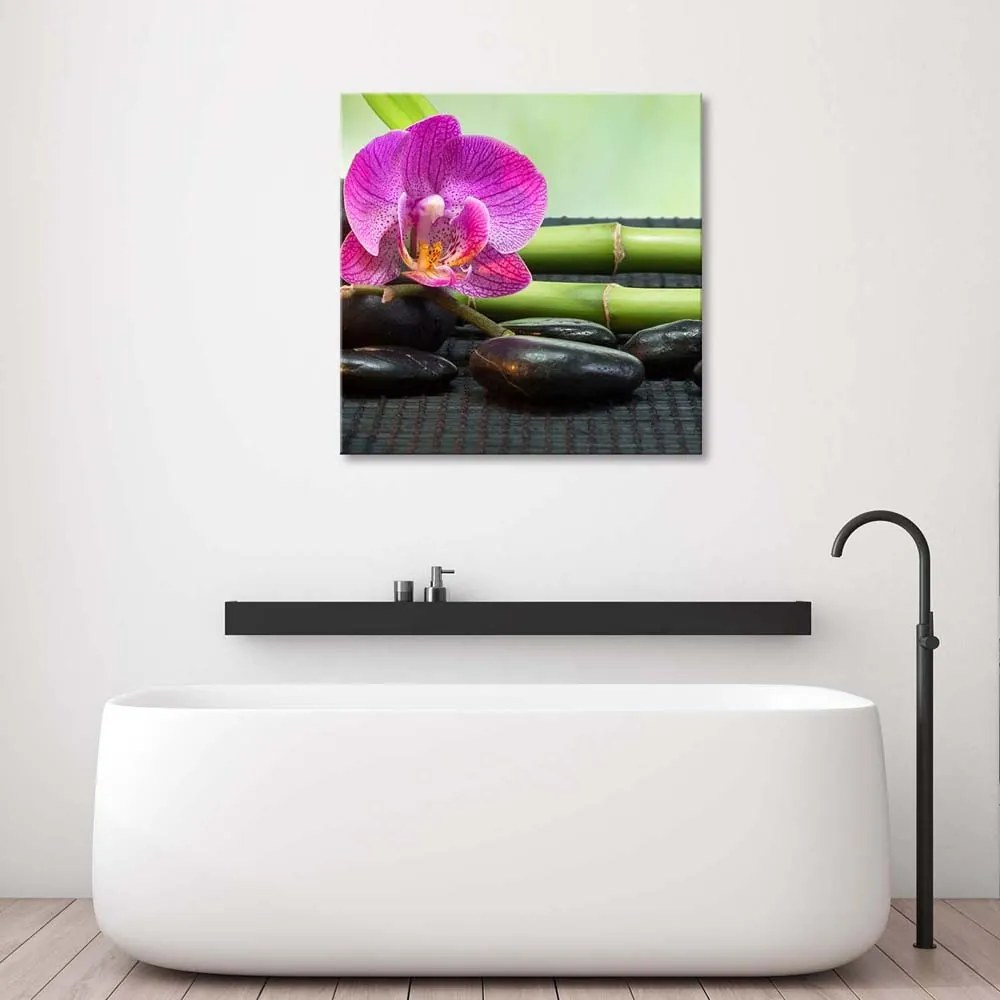 Gario Obraz na plátne Kvitnúce orchidey na čiernych kameňoch Rozmery: 40 x 40 cm