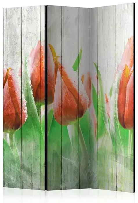 Paraván - Red tulips on wood [Room Dividers]