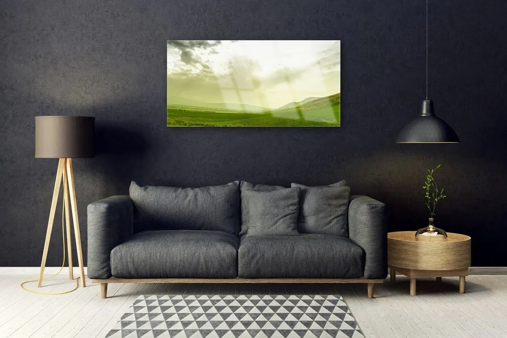 Obraz plexi Lúka príroda zelený výhľad 100x50 cm