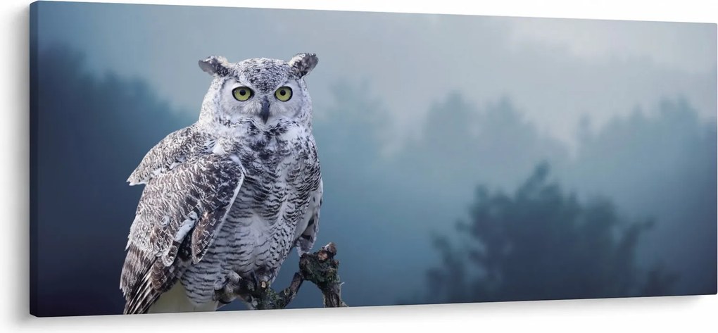 Obraz - Sova snežná (120x50 cm)