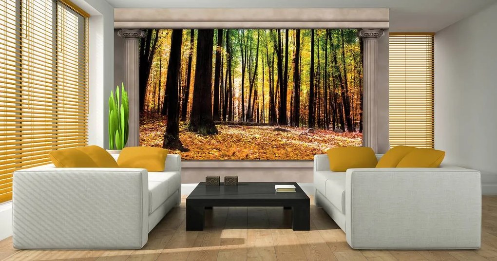 Fototapeta - Jesenný les (152,5x104 cm)